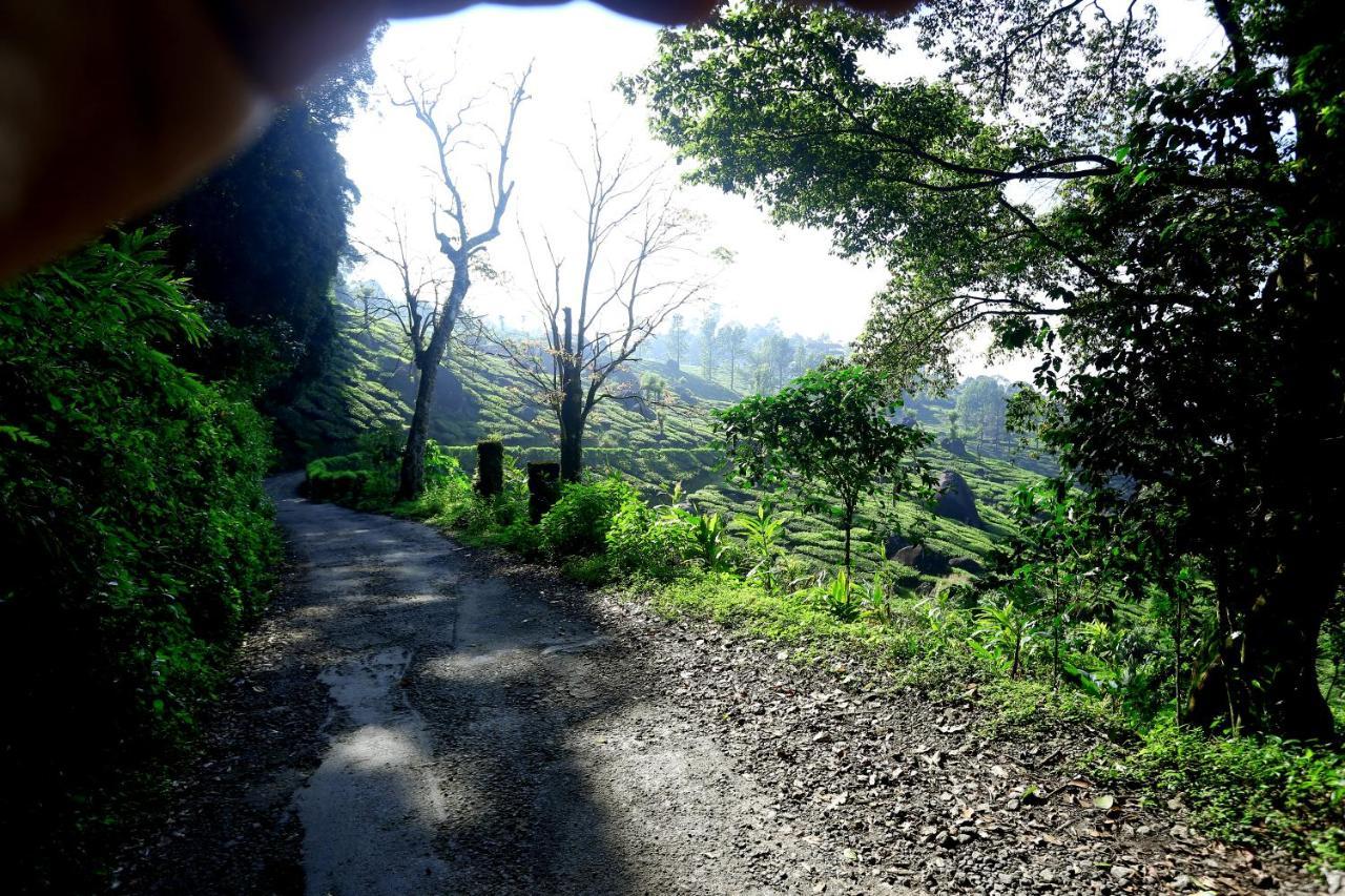 Green Magic Home Munnar Exterior foto